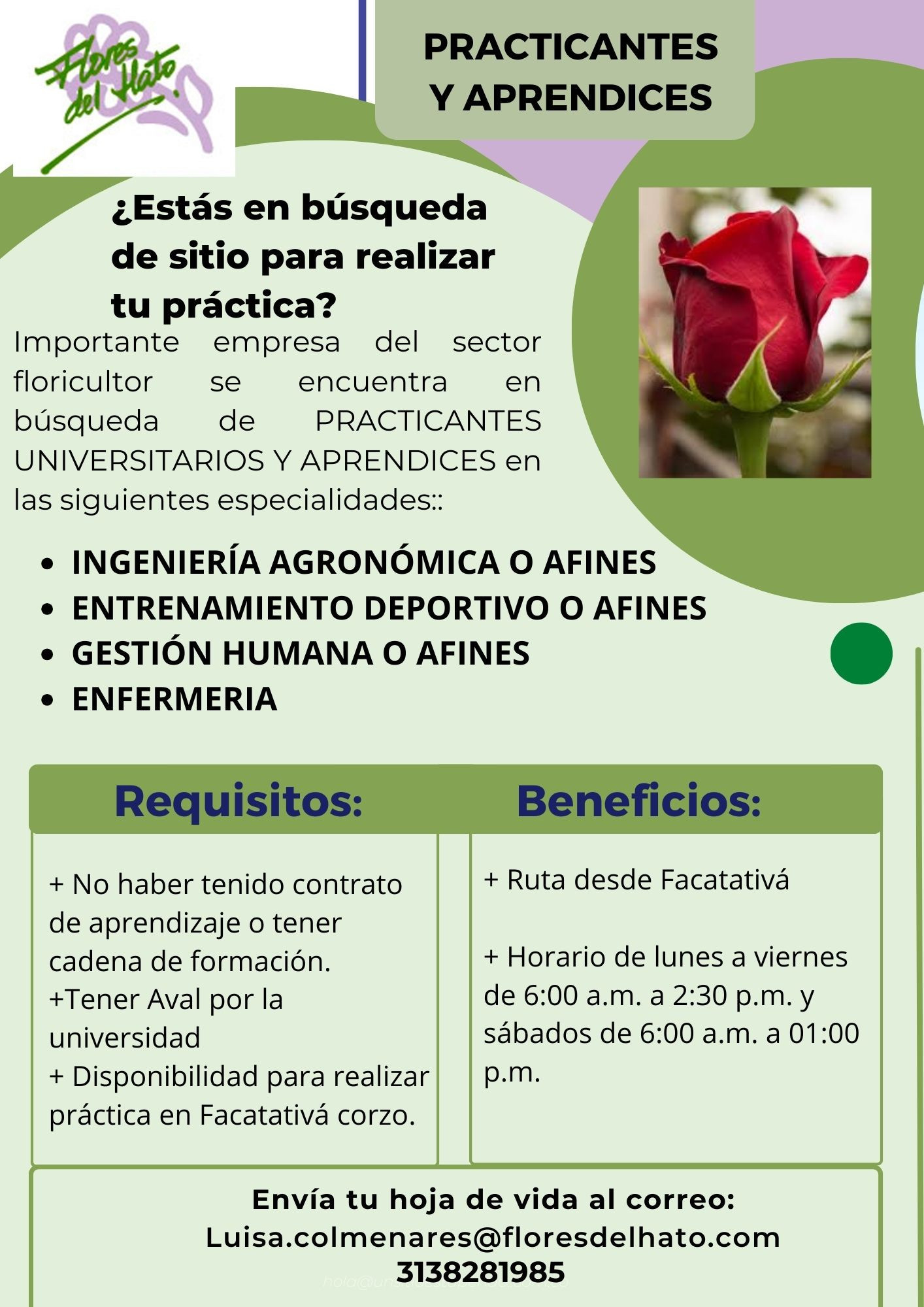 APRENDICES Y PRACTICANTES UNIVERSITARIOS